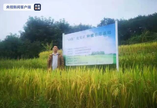 送别“三亚好人”！年仅40岁的水稻专家袁经天因病离世 捐献器官救3人