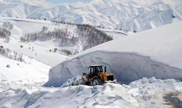 土耳其16个城市因暴雪极端天气停课