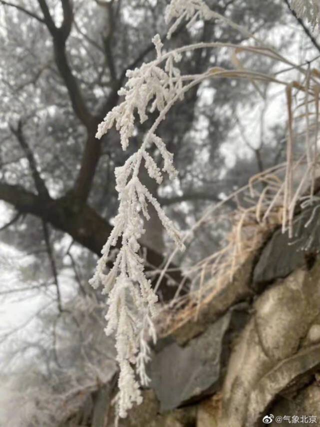 北京多区已飘雪 今夜降雪还再来