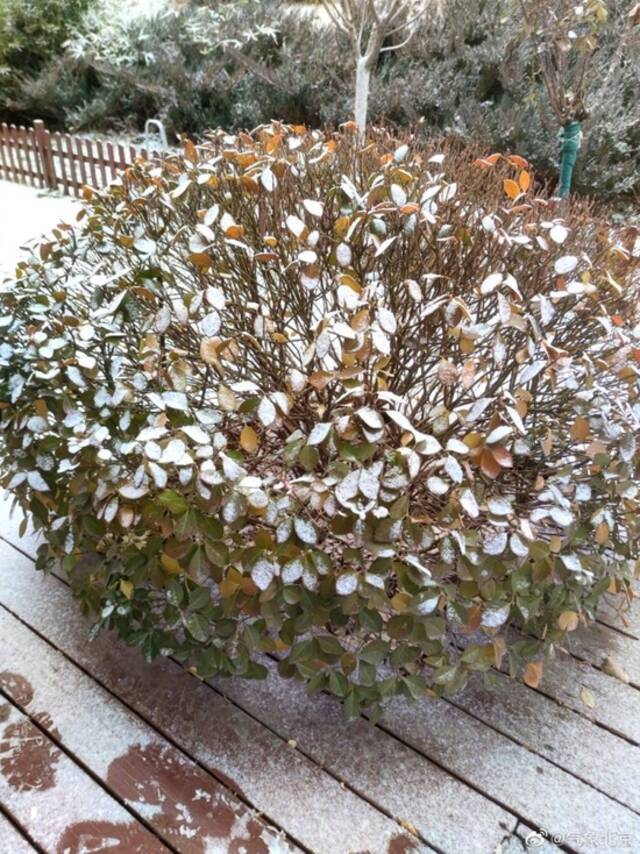 北京多区已飘雪 今夜降雪还再来