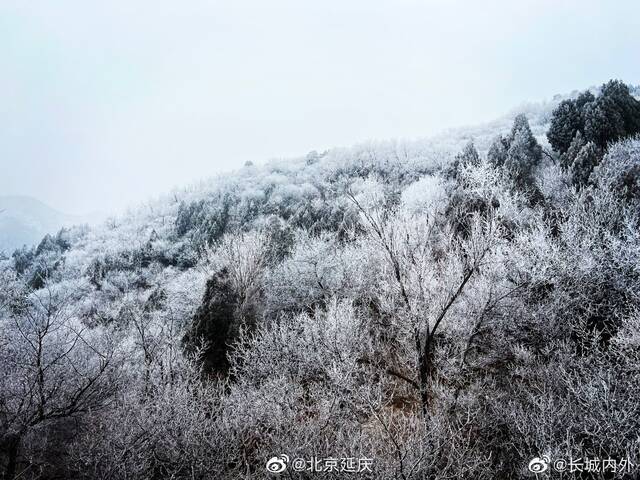 北京八达岭景区迎来雾凇天气