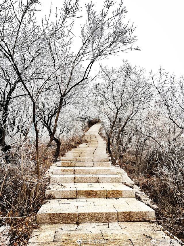 北京八达岭景区迎来雾凇天气