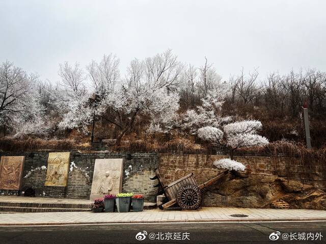 北京八达岭景区迎来雾凇天气