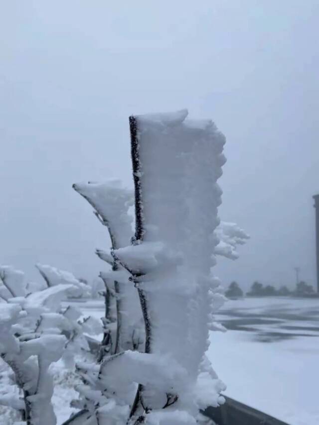 浙江下雪啦！