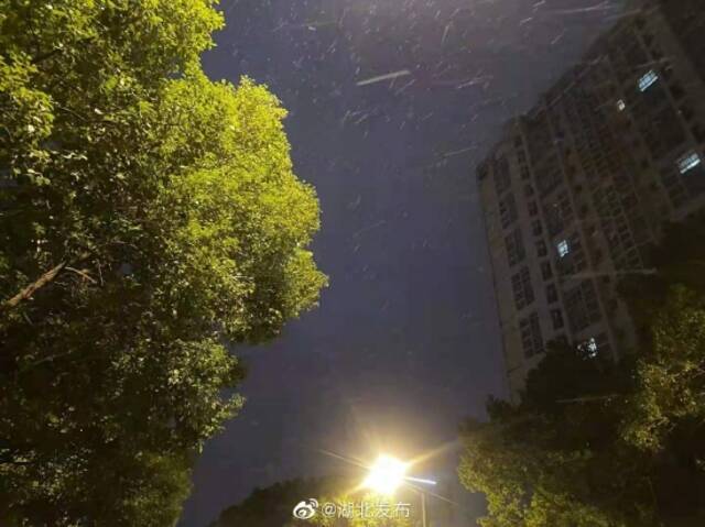 武汉今冬第一场初雪凌晨飘落