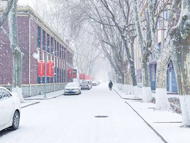 青科大最美雪景年度巨献！