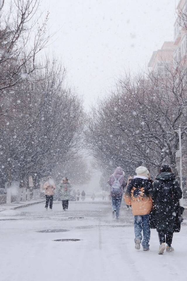 青科大最美雪景年度巨献！