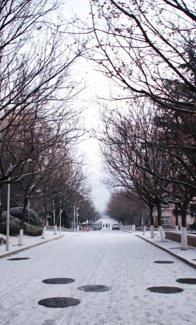 青科大最美雪景年度巨献！