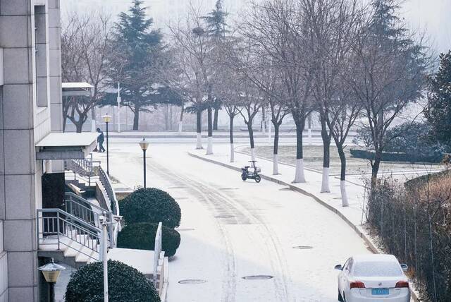 青科大最美雪景年度巨献！