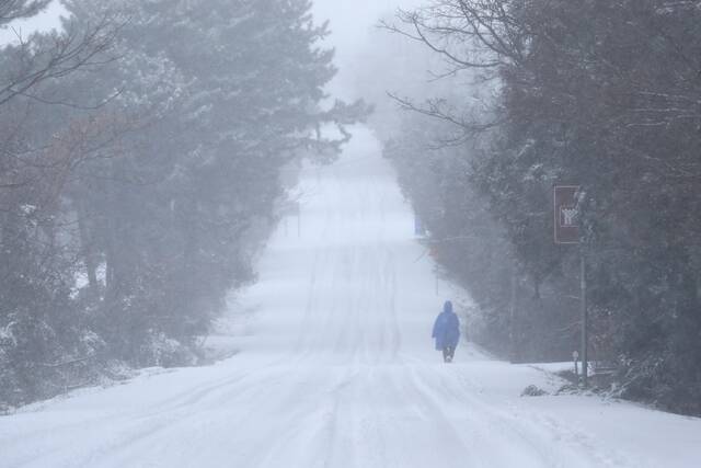 寒潮来袭 韩国济州岛大部地区发布大雪预警