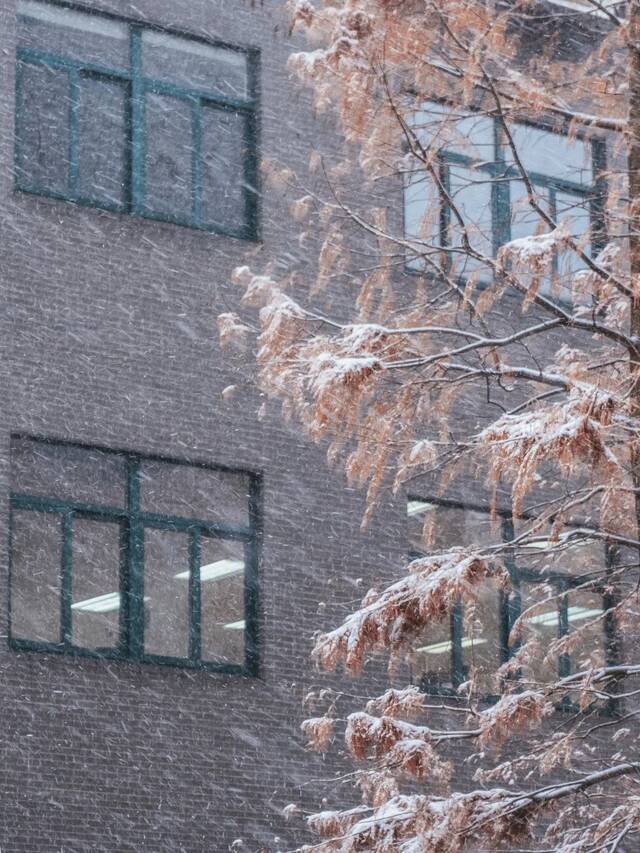 一起来中南看雪吧！