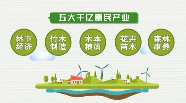 浙江两大“油库”在哪里？观赏古树去哪儿？省林业局新闻发言人权威解答