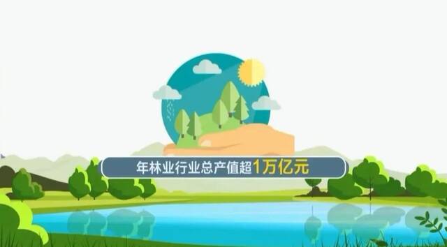 浙江两大“油库”在哪里？观赏古树去哪儿？省林业局新闻发言人权威解答