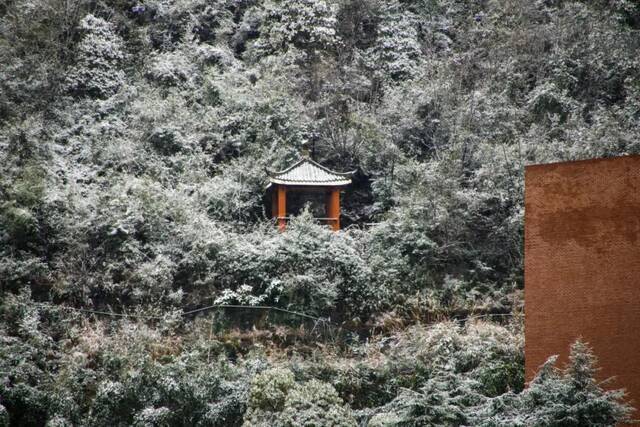 今天，一起看一场初雪