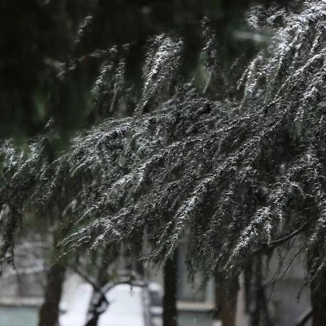 今天，一起看一场初雪