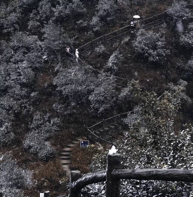 今天，一起看一场初雪