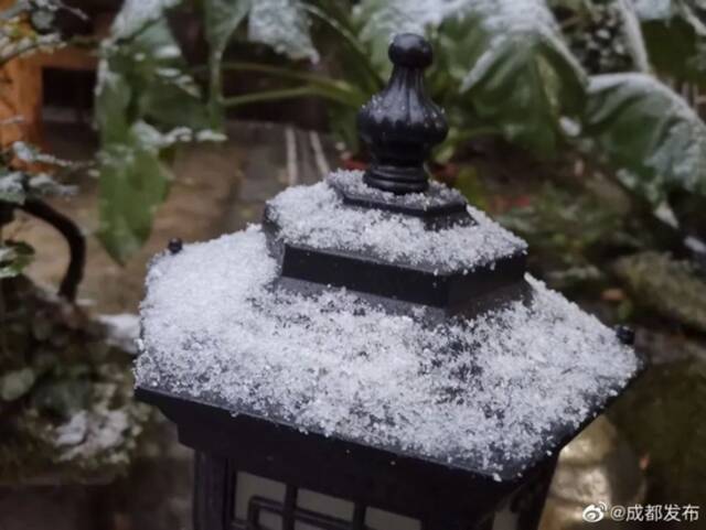 下雪了！成都最大的雪在这里！