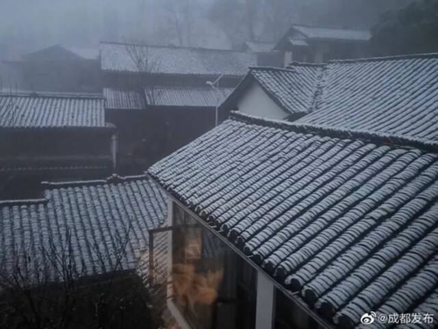 下雪了！成都最大的雪在这里！