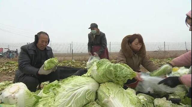 “疫”中情｜风雪之下，biangbiang面加油！