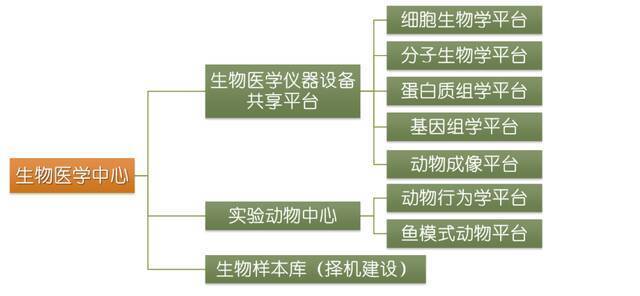 科研·平台（三）  青岛大学生物医学中心：筑建“医学+”交叉学科发展前沿阵地，服务健康中国战略