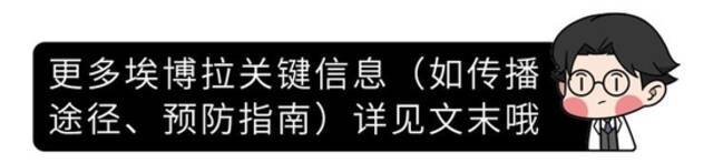 让人变成“僵尸”的病毒，仍在肆虐地球