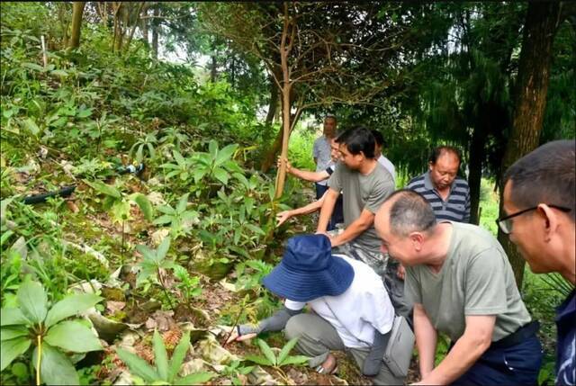 一起“森”呼吸！浙江公布一批省级森林休闲养生城市、森林康养名镇和森林人家名单