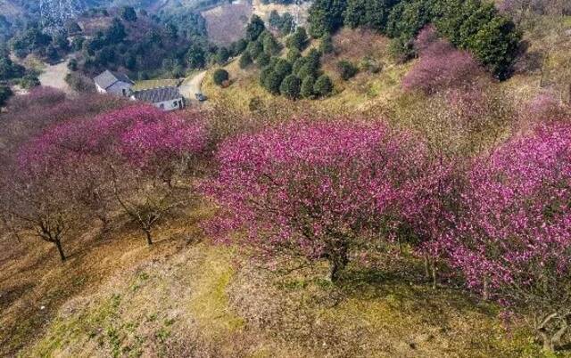 一起“森”呼吸！浙江公布一批省级森林休闲养生城市、森林康养名镇和森林人家名单