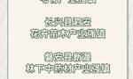 一起“森”呼吸！浙江公布一批省级森林休闲养生城市、森林康养名镇和森林人家名单