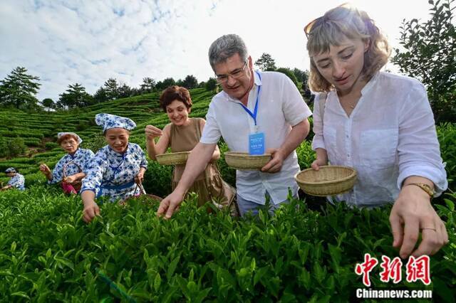 东西问  夏良玉：中国茶为什么是世界“通用语”？