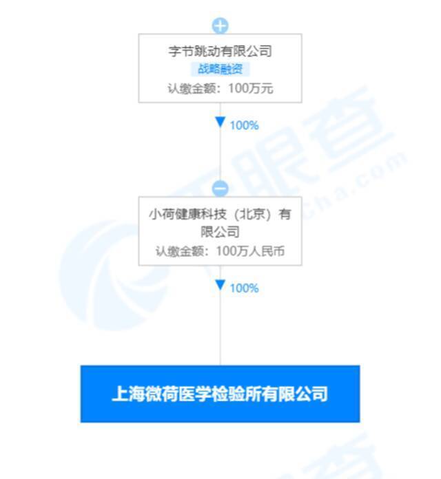 上海微荷医学检验所有限公司股权穿透图