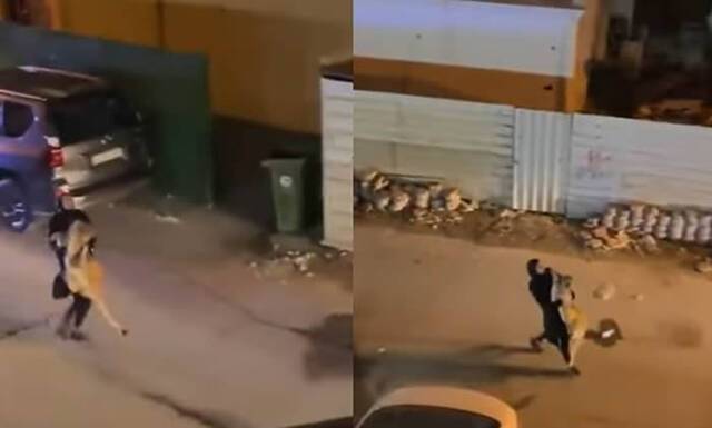 科威特一头狮子在街上乱窜引发民众恐慌女子霸气把万兽之王当大猫抱住抓回