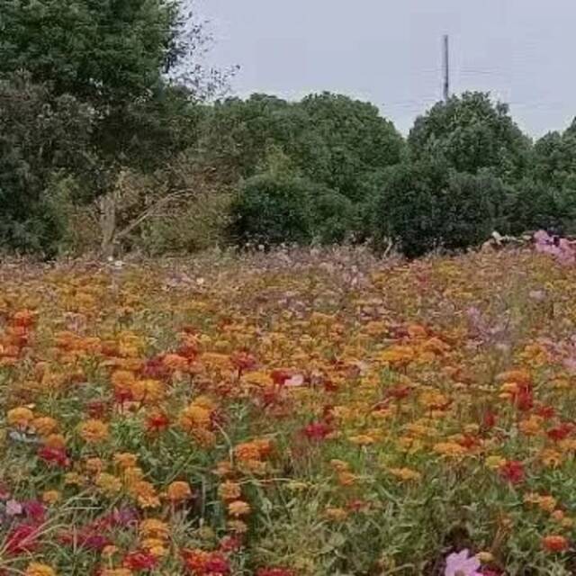 小星最爱的童年游戏原来是......