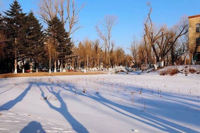 今日小寒  小寒料峭浮旧雪 冰肌澎湃奏新乐