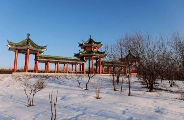 今日小寒  小寒料峭浮旧雪 冰肌澎湃奏新乐