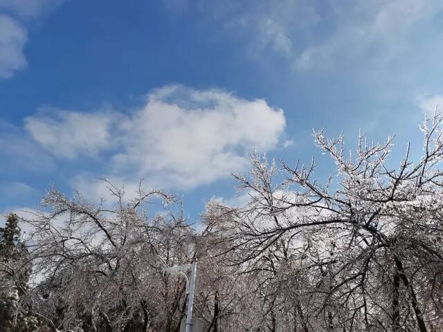 叮！请查收东师的风、花、雪、月