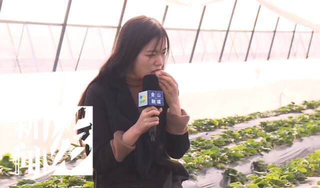上海新“网红”，菠萝味草莓一斤卖150元！网友却替它“尴尬”…
