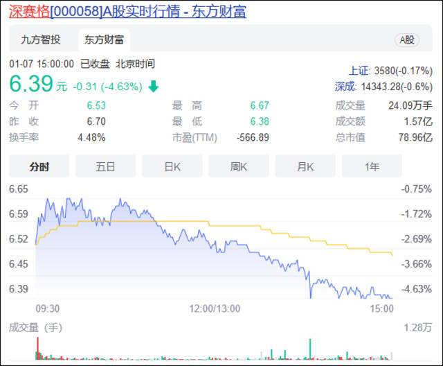 深赛格1月7日A股收盘截图