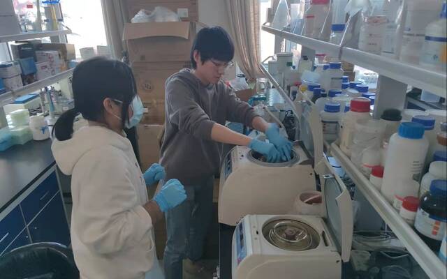 李克斌团队的实验室人员正在做实验。新京报记者王巍摄