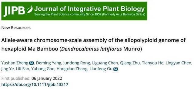 福建农林大学“麻竹基因组学研究”取得突破