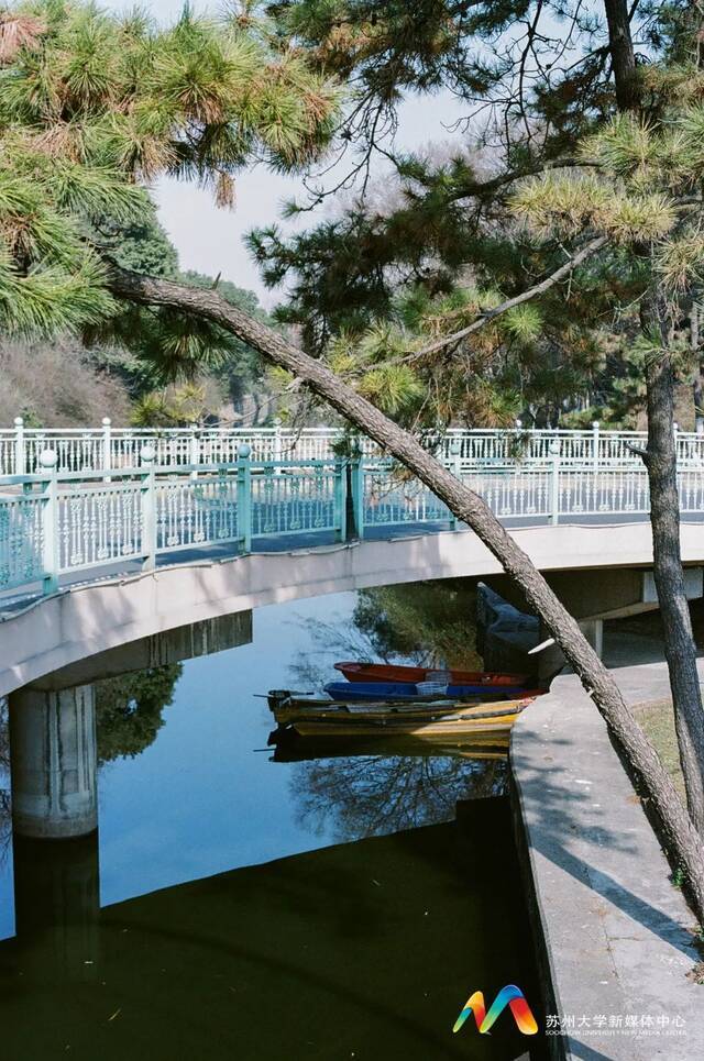 影像  在这个冬天，雕刻时光