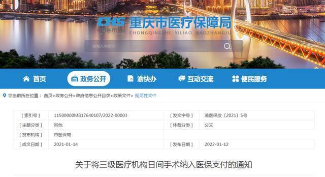重庆市医疗保障局网站截图