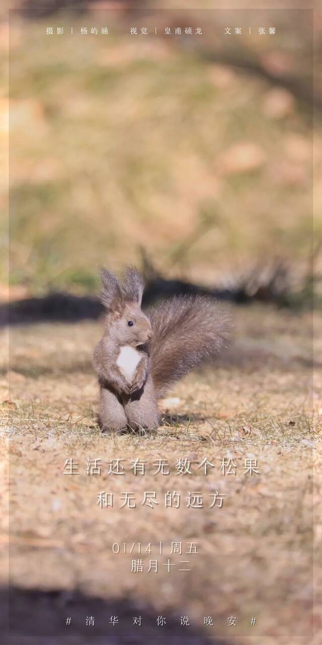 毛毛茸茸 ，暖暖过冬～清华，晚安！