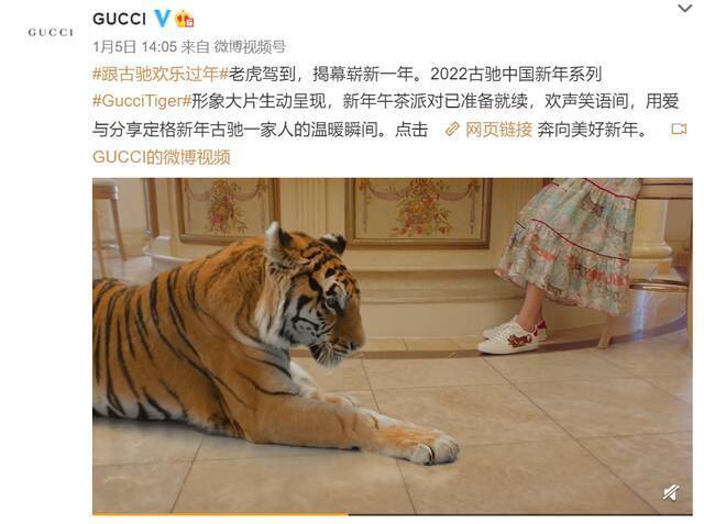 GUCCI官方微博截图