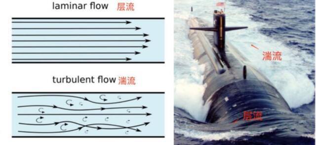 尹烨：格物生命之理，致知演化之道