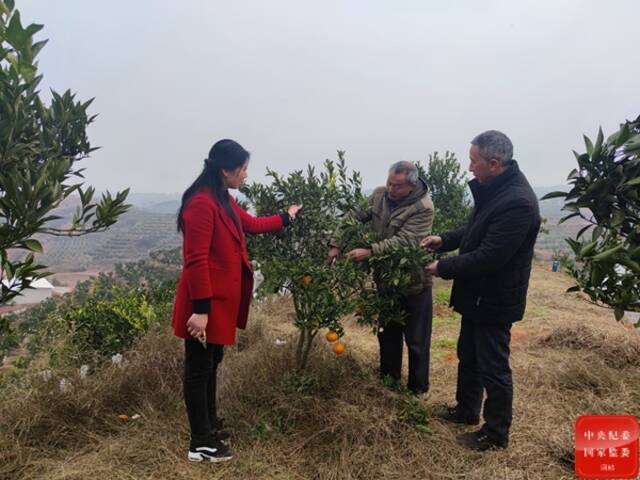 小康相册  新征程新气象新作为