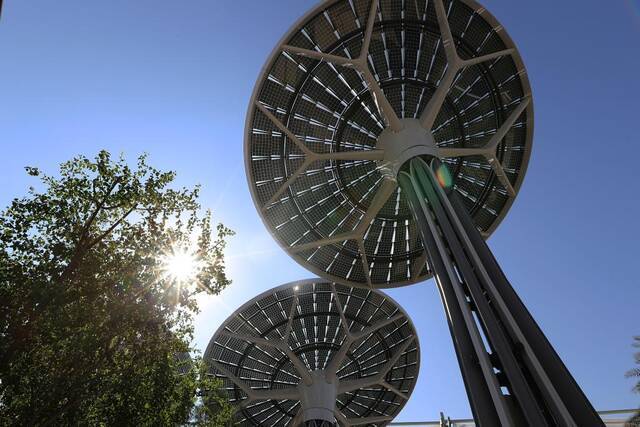 这是1月11日在阿拉伯联合酋长国迪拜世博会拍摄的被称作“能源树”的太阳能发电设施。新华社记者王东震摄