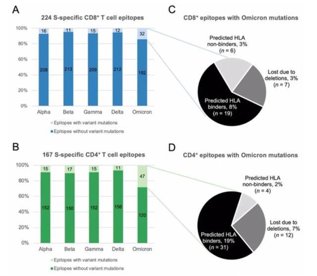 5种新冠关切变异株中S-特异性SARS-CoV-2 T细胞表位有突变和无突变的百分比。香港科技大学、墨尔本大学等团队《病毒学》论文