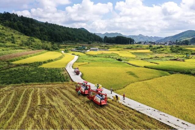 视频｜除了8.1%，还有这些数字，同样意味深长！