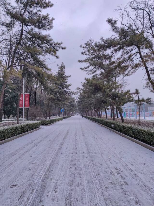 北҈科下҈雪҈啦҈！2022年的第一场雪！