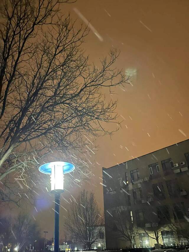 今日大寒，京城飘雪！上午大部分地区有弱降雪